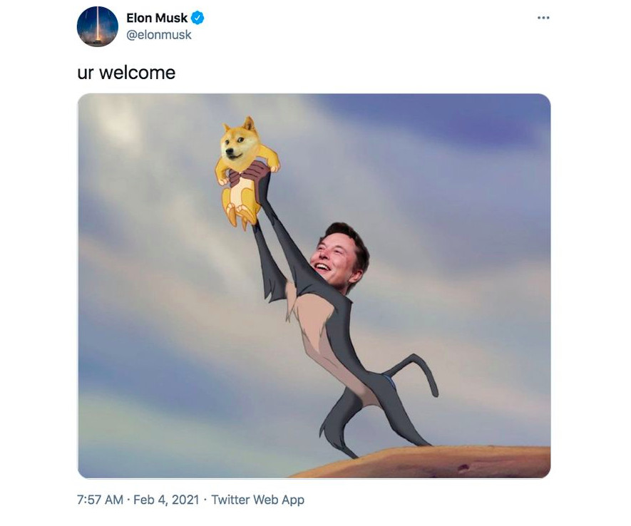 elon musk kjøp dogecoin