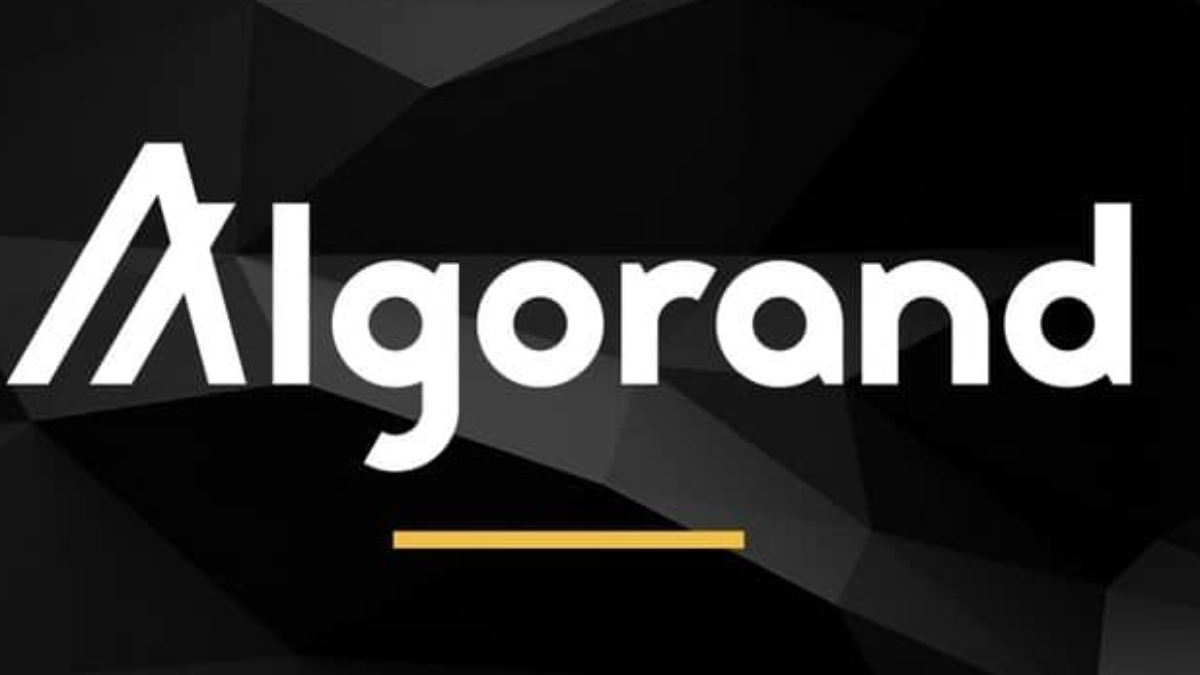 Algorand Kurs & Graf Her 2026 - Følg ALGO kursutvikling