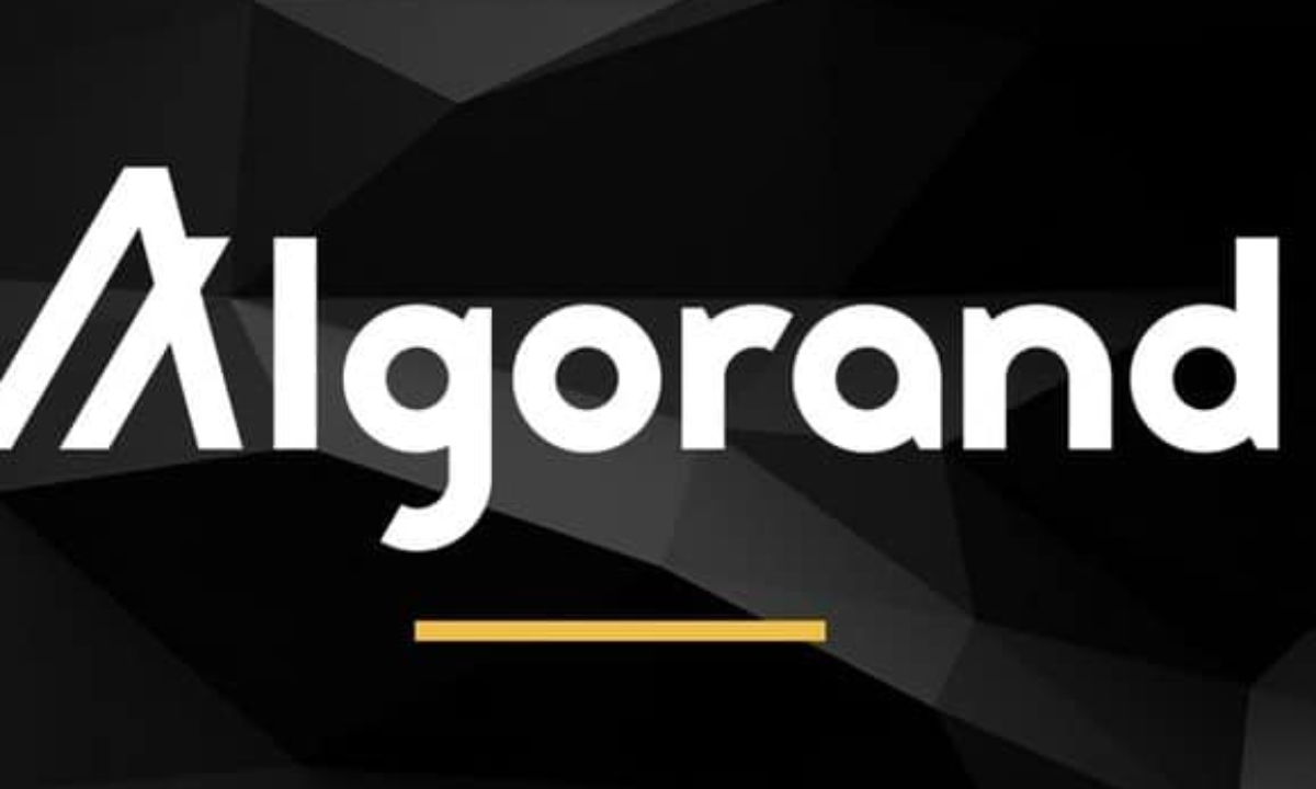 Algorand Kurs & Graf Her 2026 - Følg ALGO kursutvikling