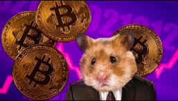 hamster som trader krypto