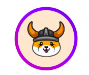 shiba floki token