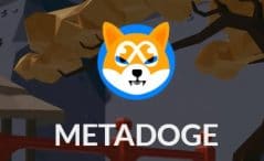 metadoge