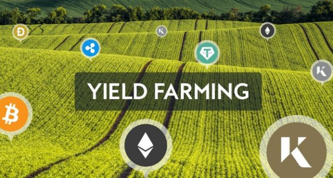 defi staking yield farming