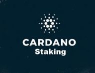 cardano staking