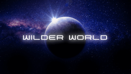 Wilder world