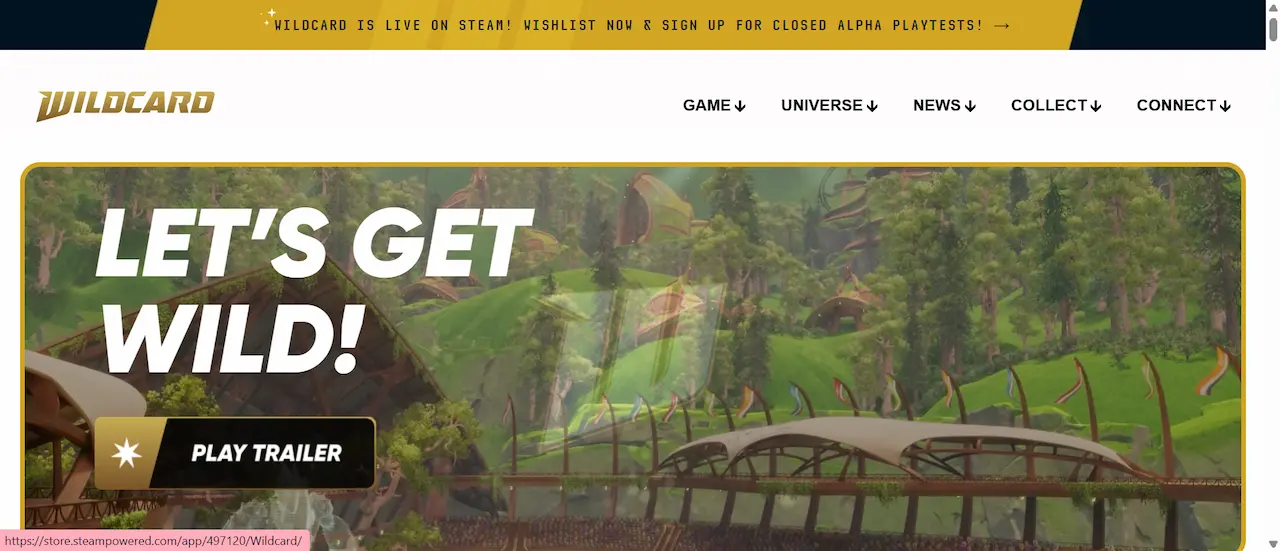Wildcard crypto game