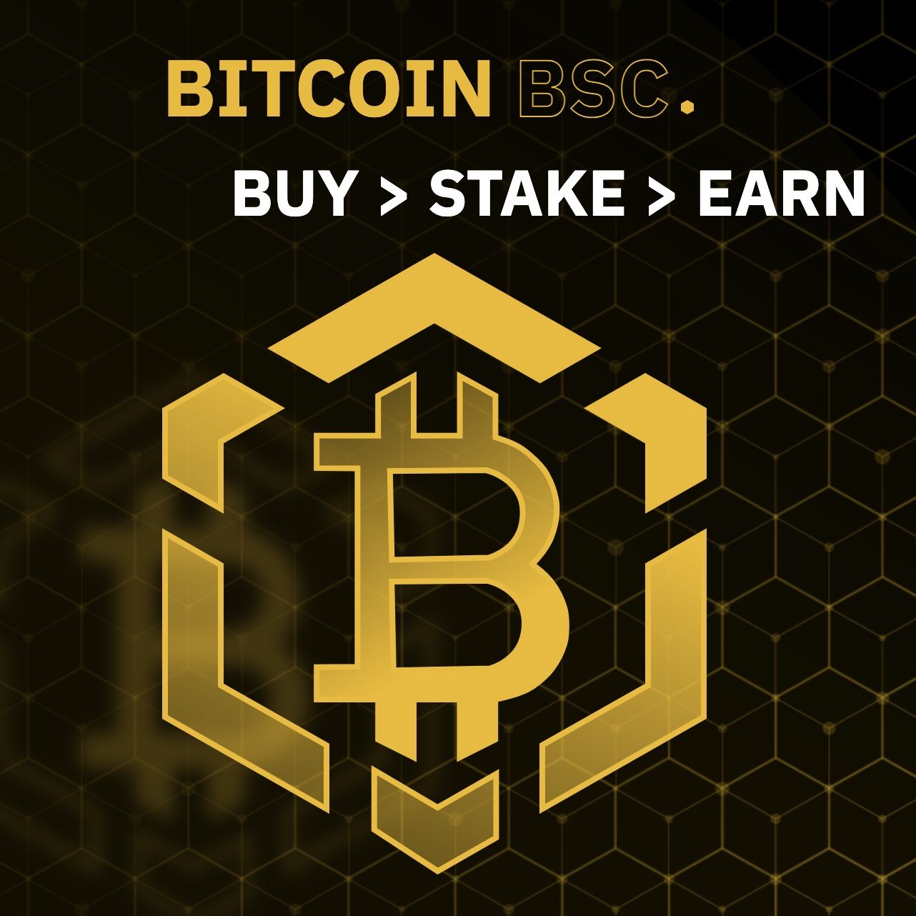 Bitcoin BSC den neste BTC? Hentet over 2 millioner dollar