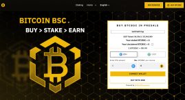 bitcoin BSC